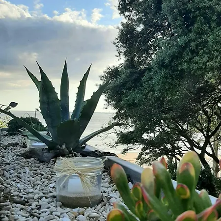 Ilo - Devant La Des Nonnes فيلة *